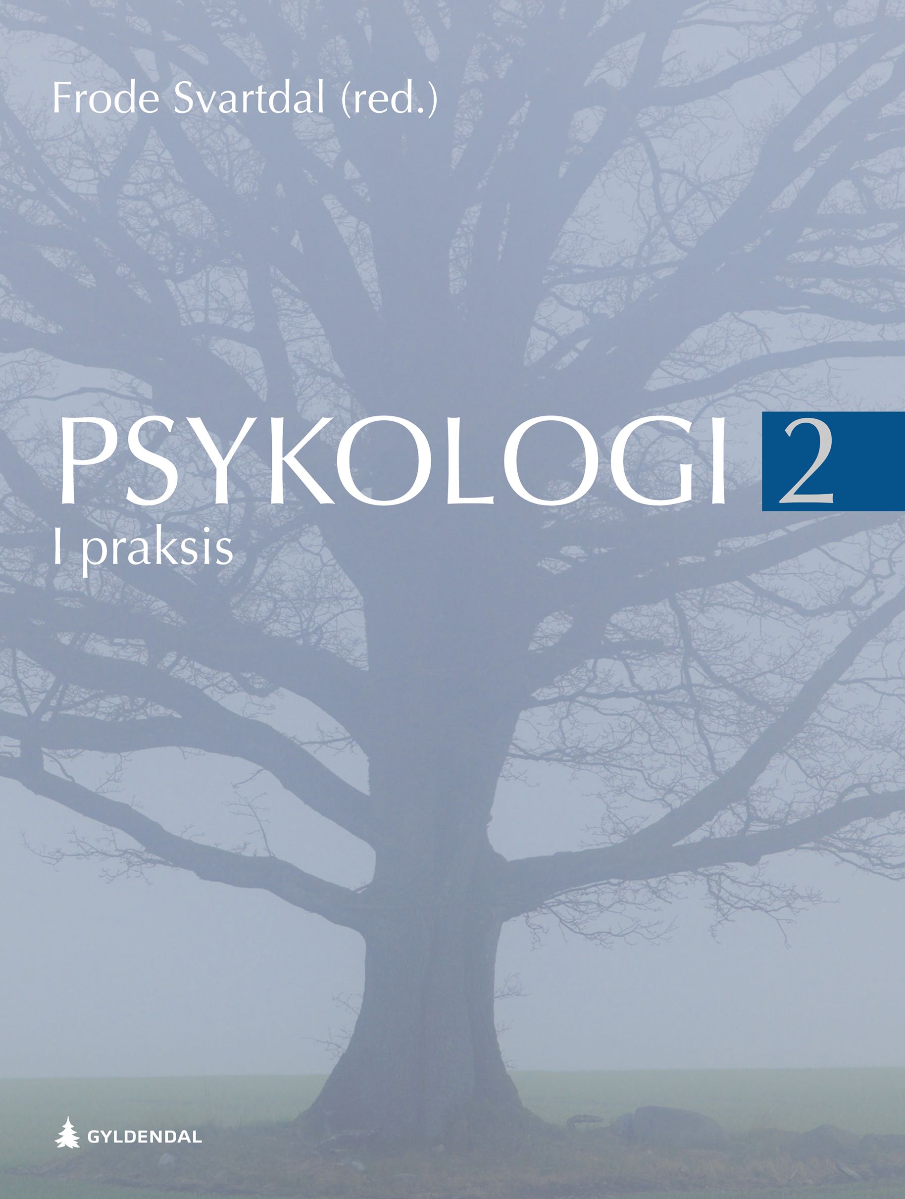 Psykologi i praksis