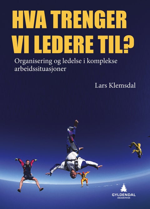 Hva trenger vi ledere til? - organisering og ledelse i komplekse arbeidssituasjoner