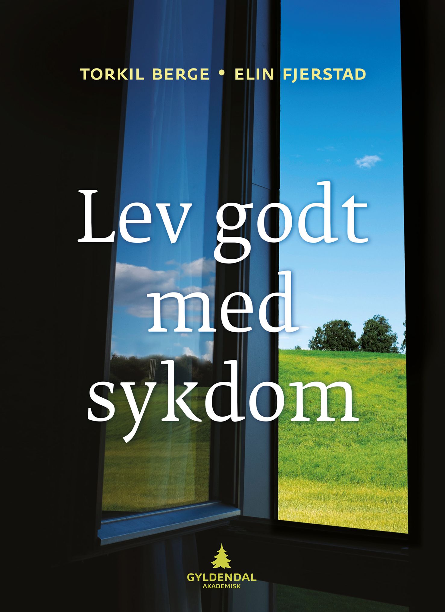 Lev godt med sykdom