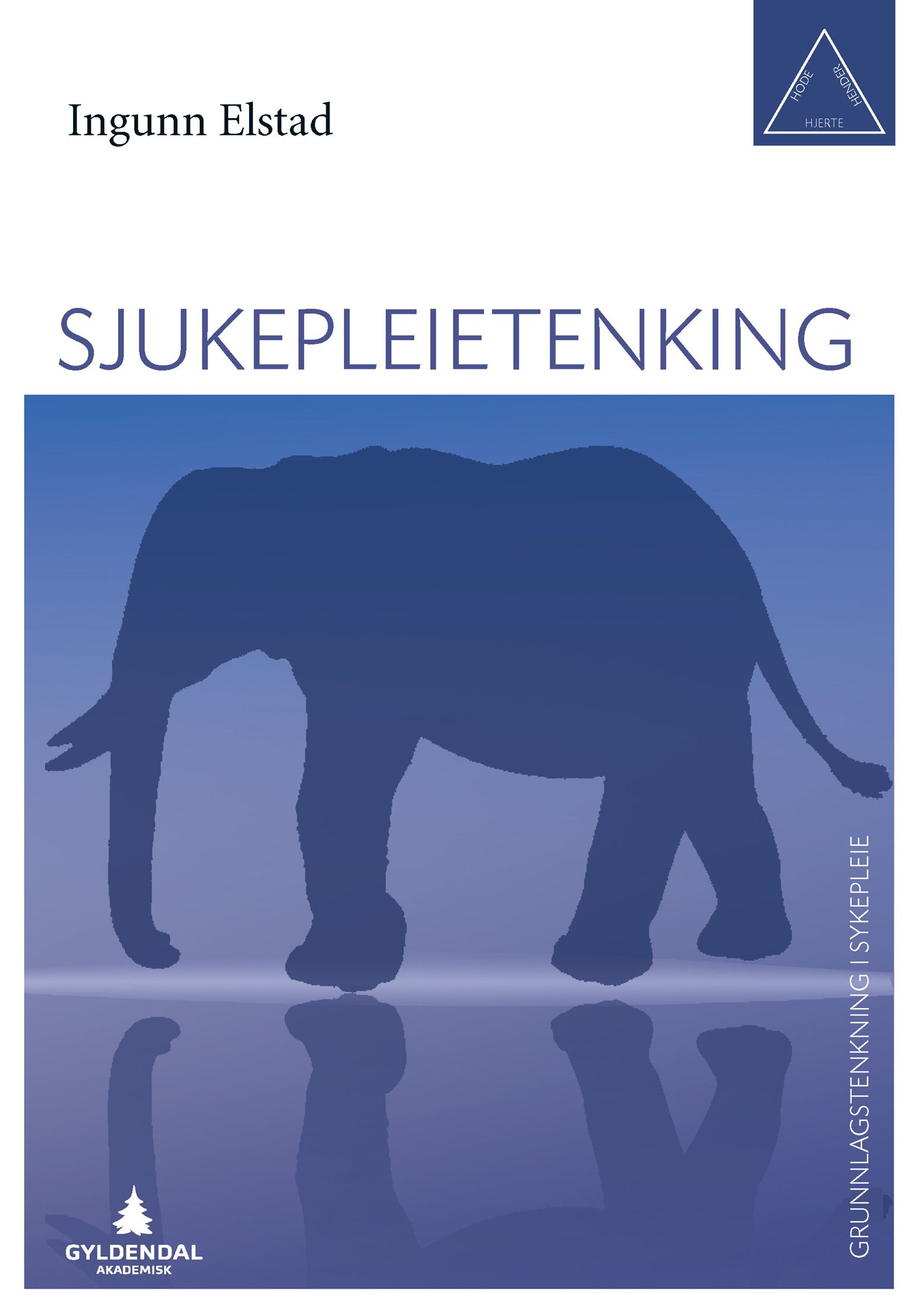 Sjukepleietenking