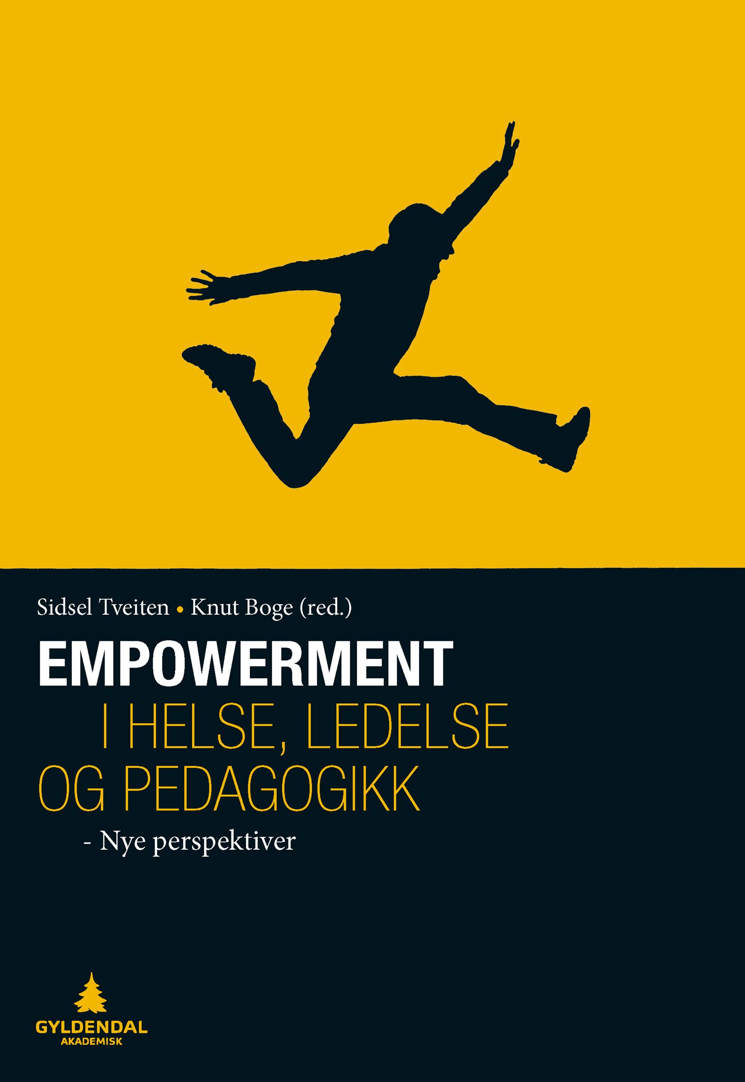 Empowerment i helse, ledelse og pedagogikk - nye perspektiver