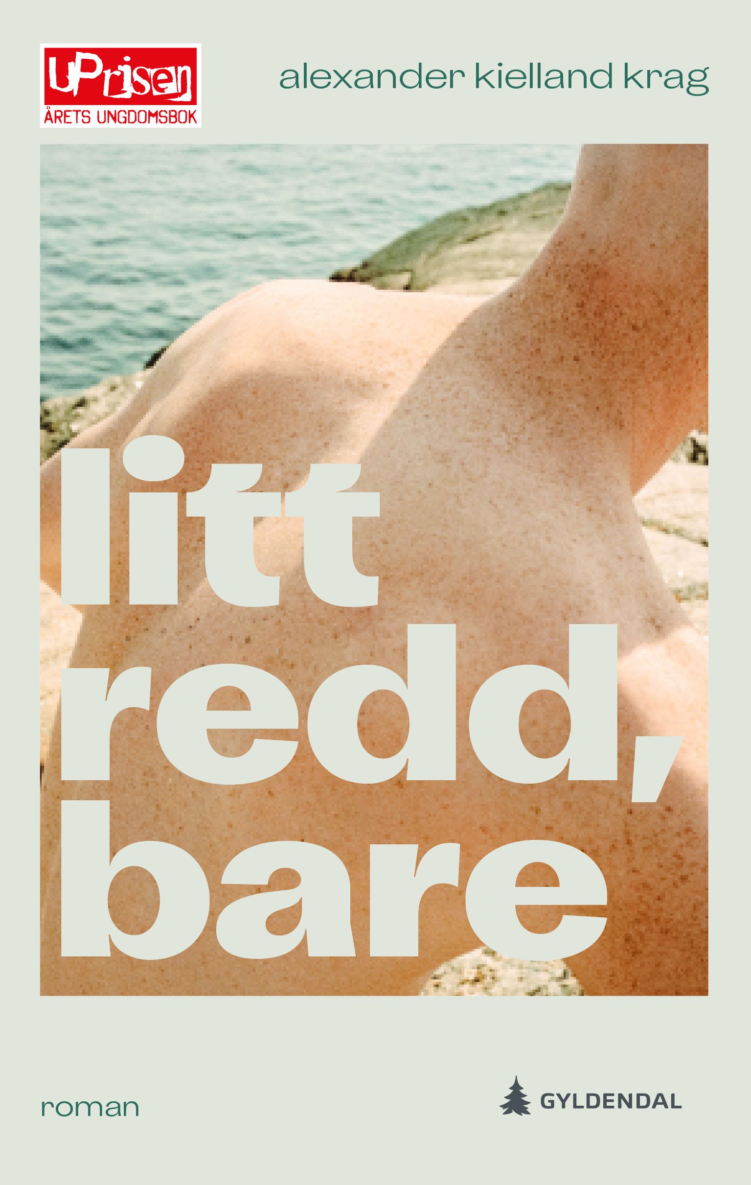 Litt redd, bare - roman