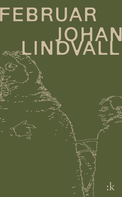Februar - roman