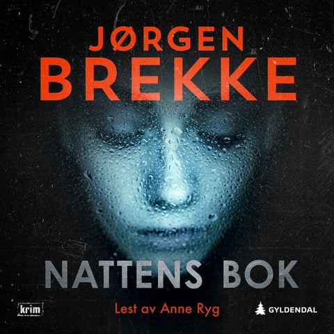 Nattens bok - kriminalroman