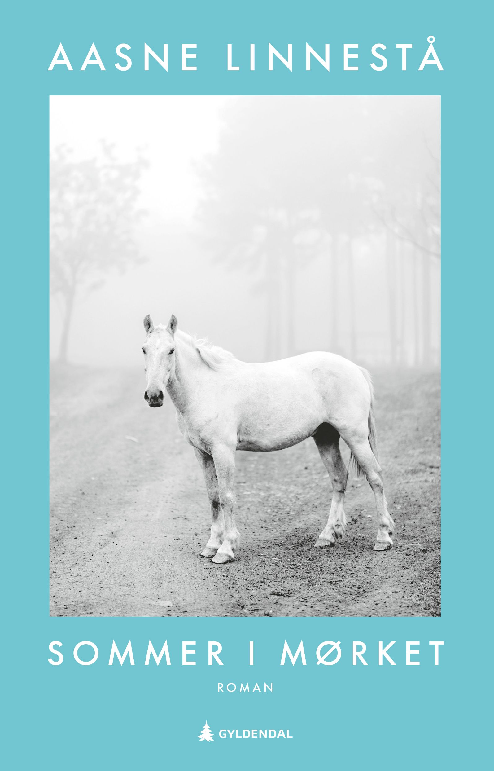 Sommer i mørket - roman