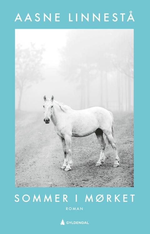 Sommer i mørket - roman