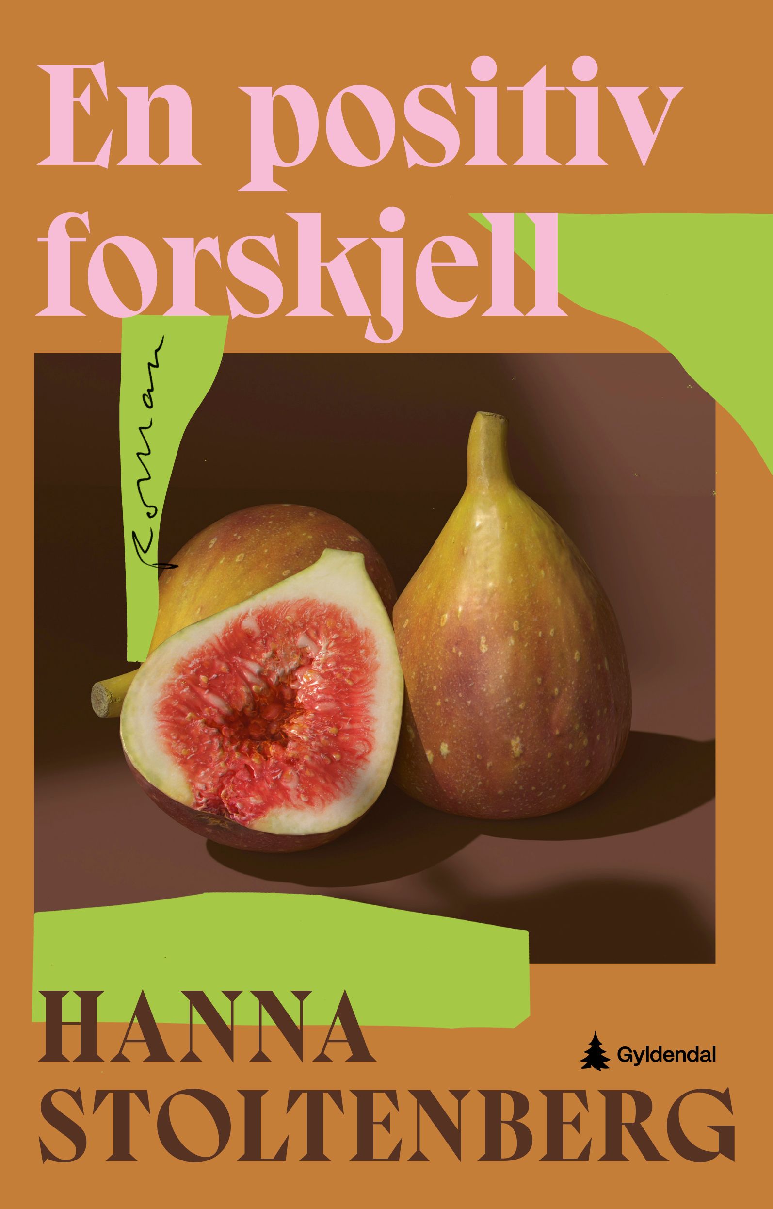 En positiv forskjell - roman