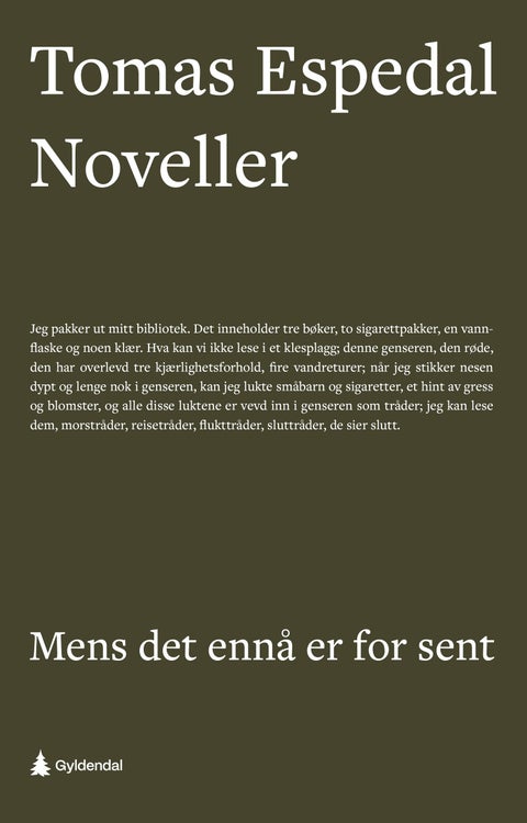 Mens det ennå er for sent - (noveller)