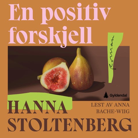 En positiv forskjell - roman