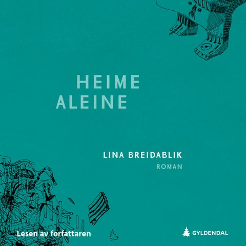 Heime aleine - roman