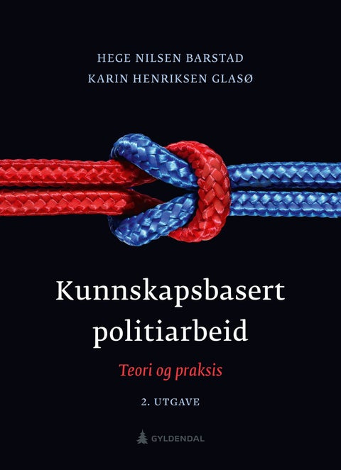 Kunnskapsbasert politiarbeid - teori og praksis