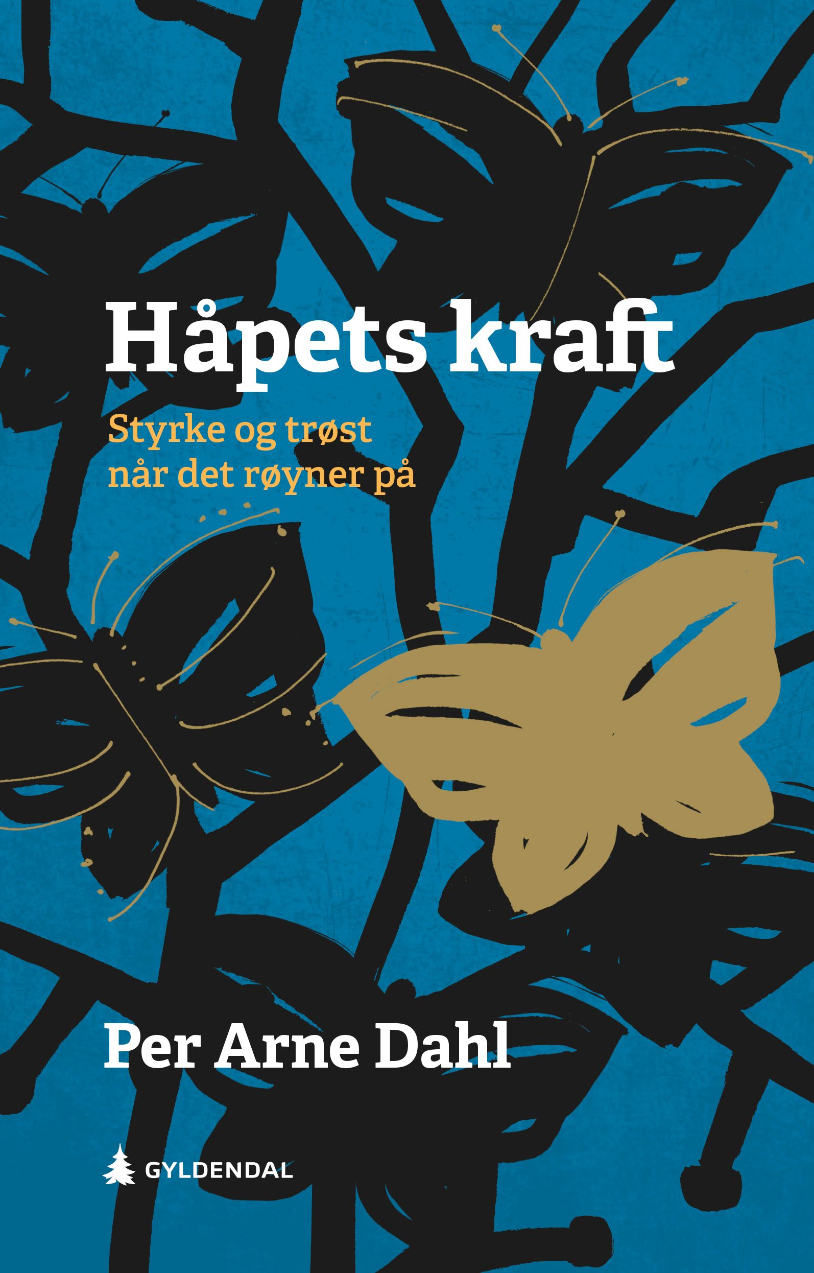 Håpets kraft - styrke og trøst når det røyner på