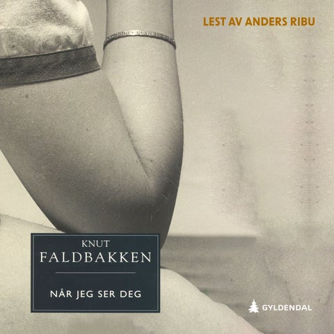 Når jeg ser deg - roman