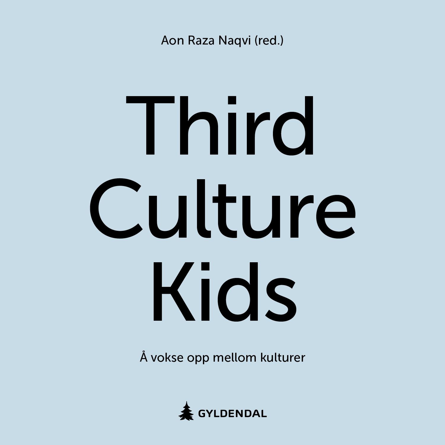 Third culture kids - å vokse opp mellom kulturer