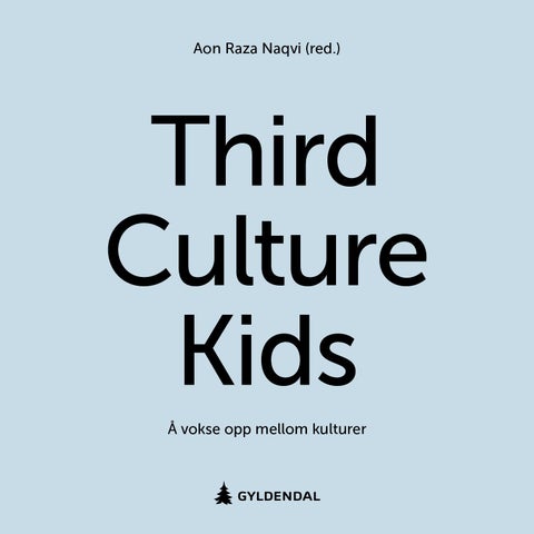 Third culture kids - å vokse opp mellom kulturer