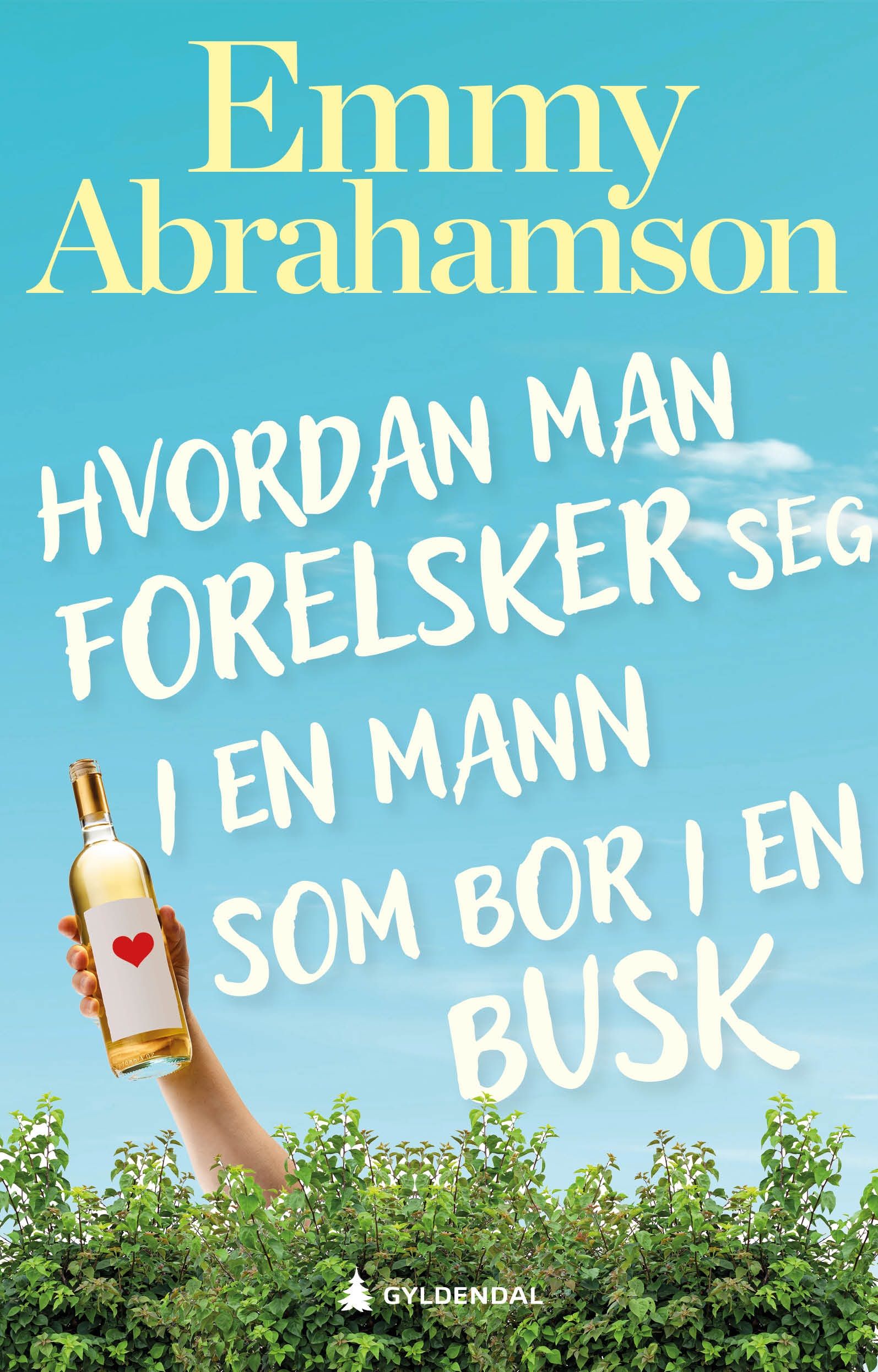 Hvordan man forelsker seg i en mann som bor i en busk - roman