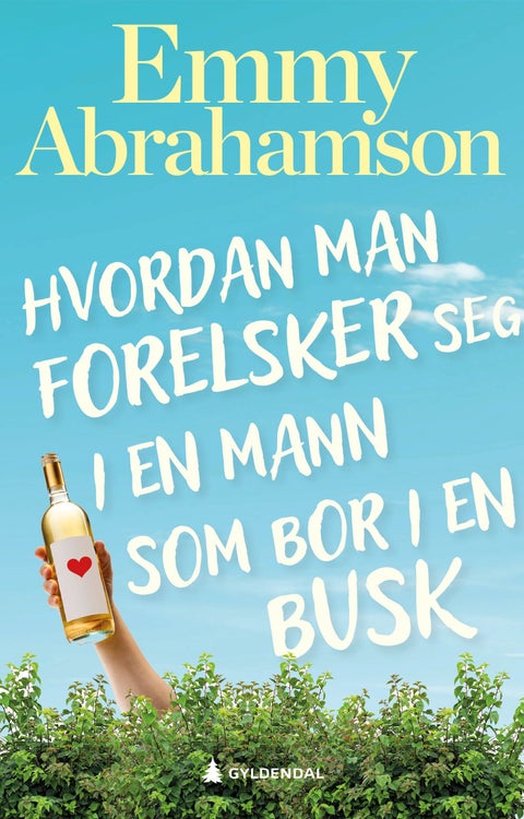 Hvordan man forelsker seg i en mann som bor i en busk - roman