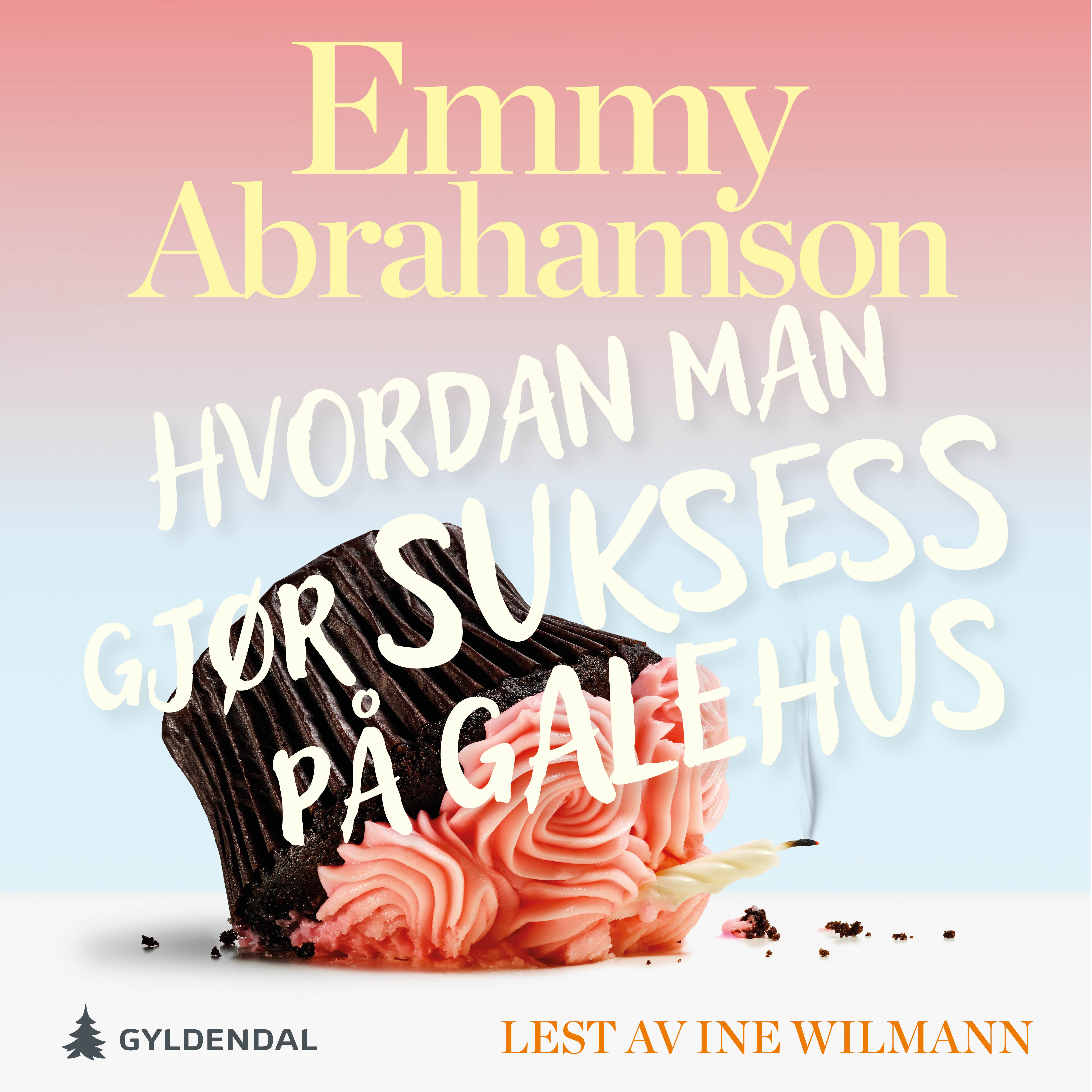 Hvordan man gjør suksess på et galehus - roman