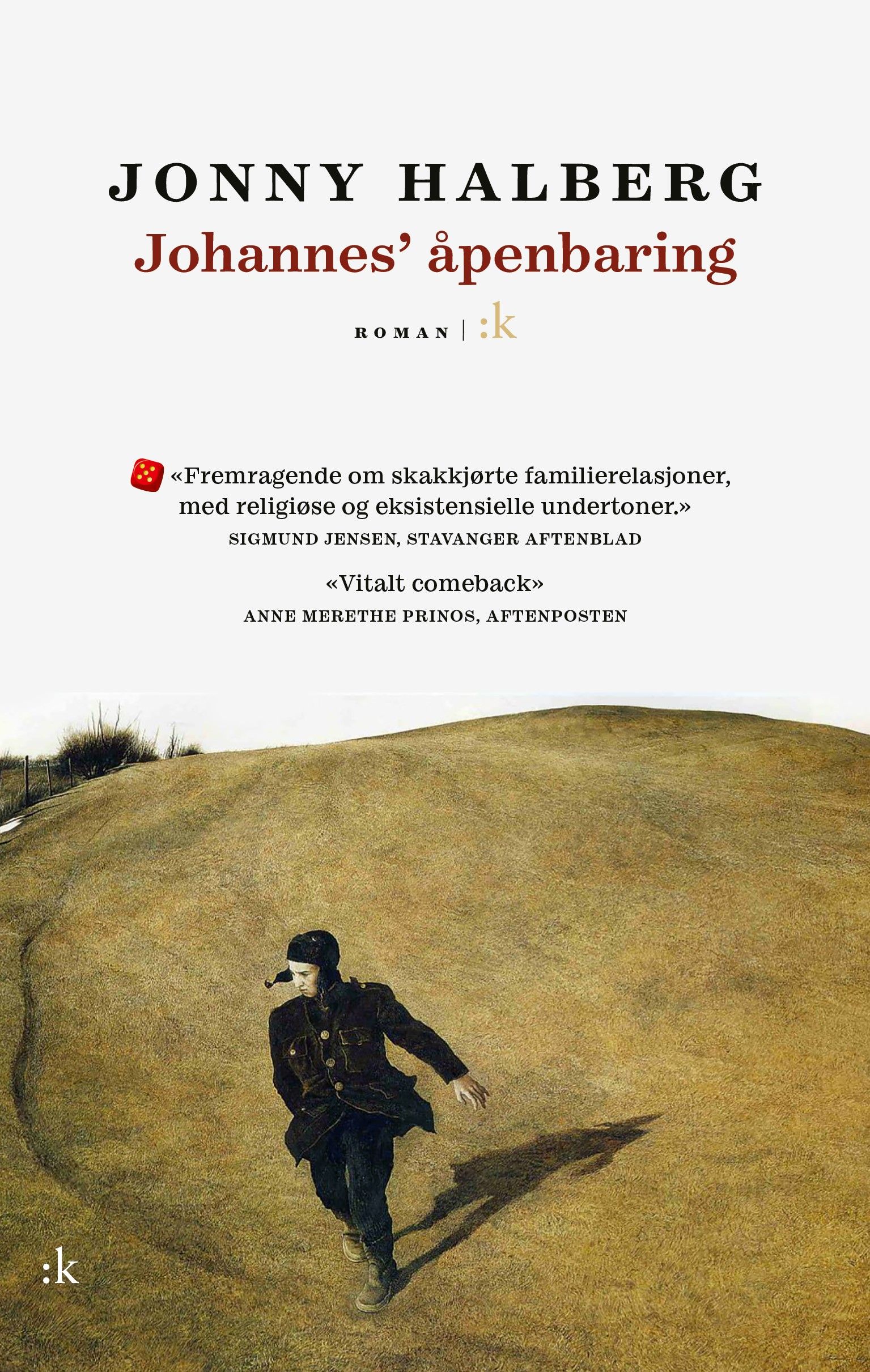 Johannes' åpenbaring - roman