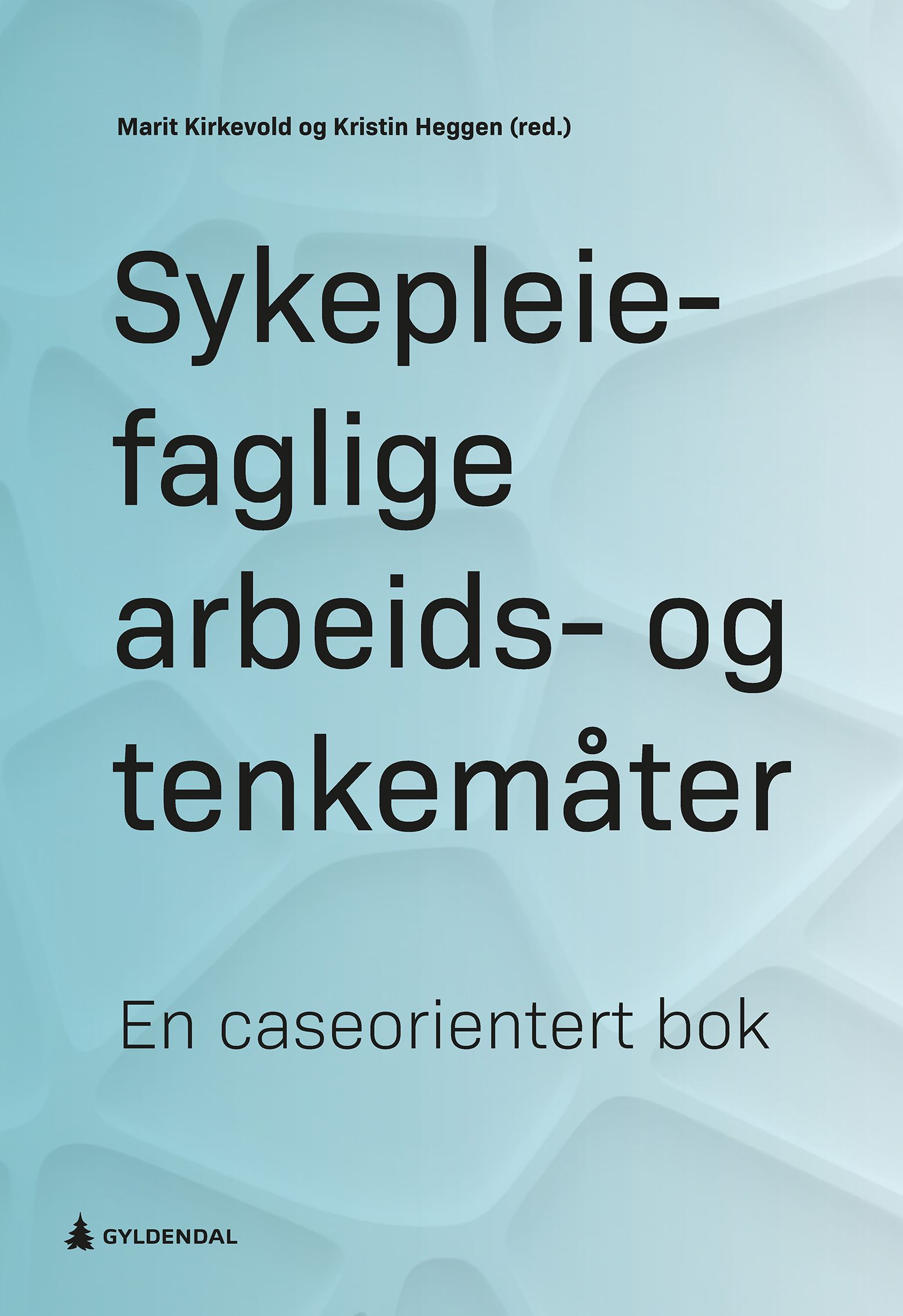 Sykepleiefaglige arbeids- og tenkemåter - en caseorientert bok