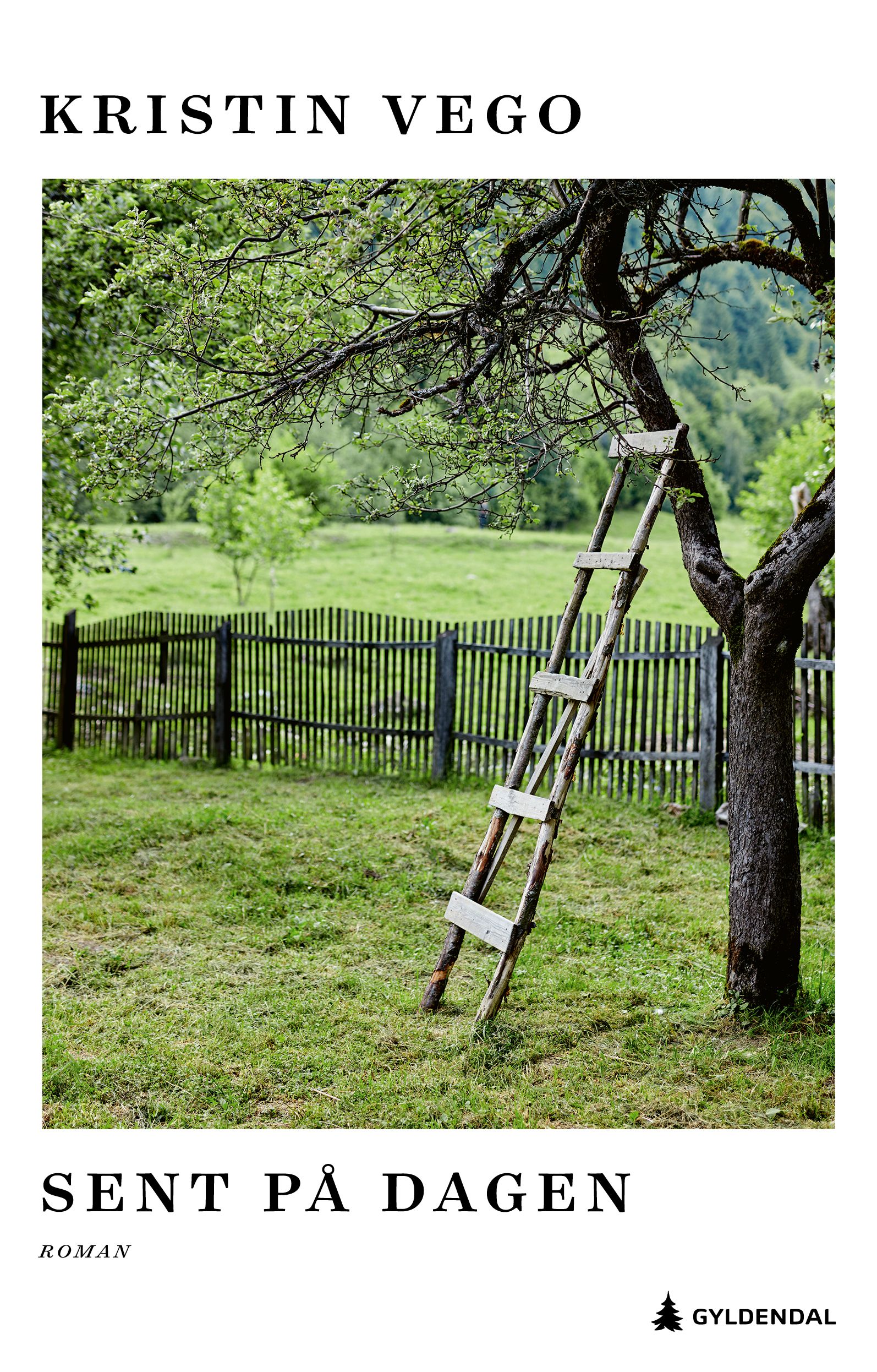 Sent på dagen - roman