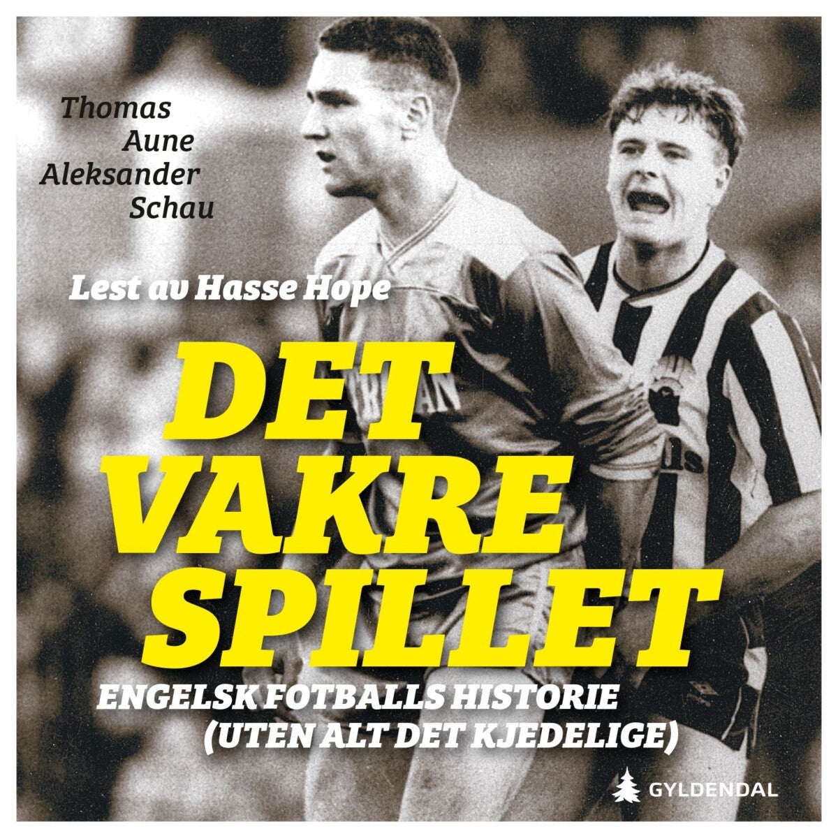 Det vakre spillet