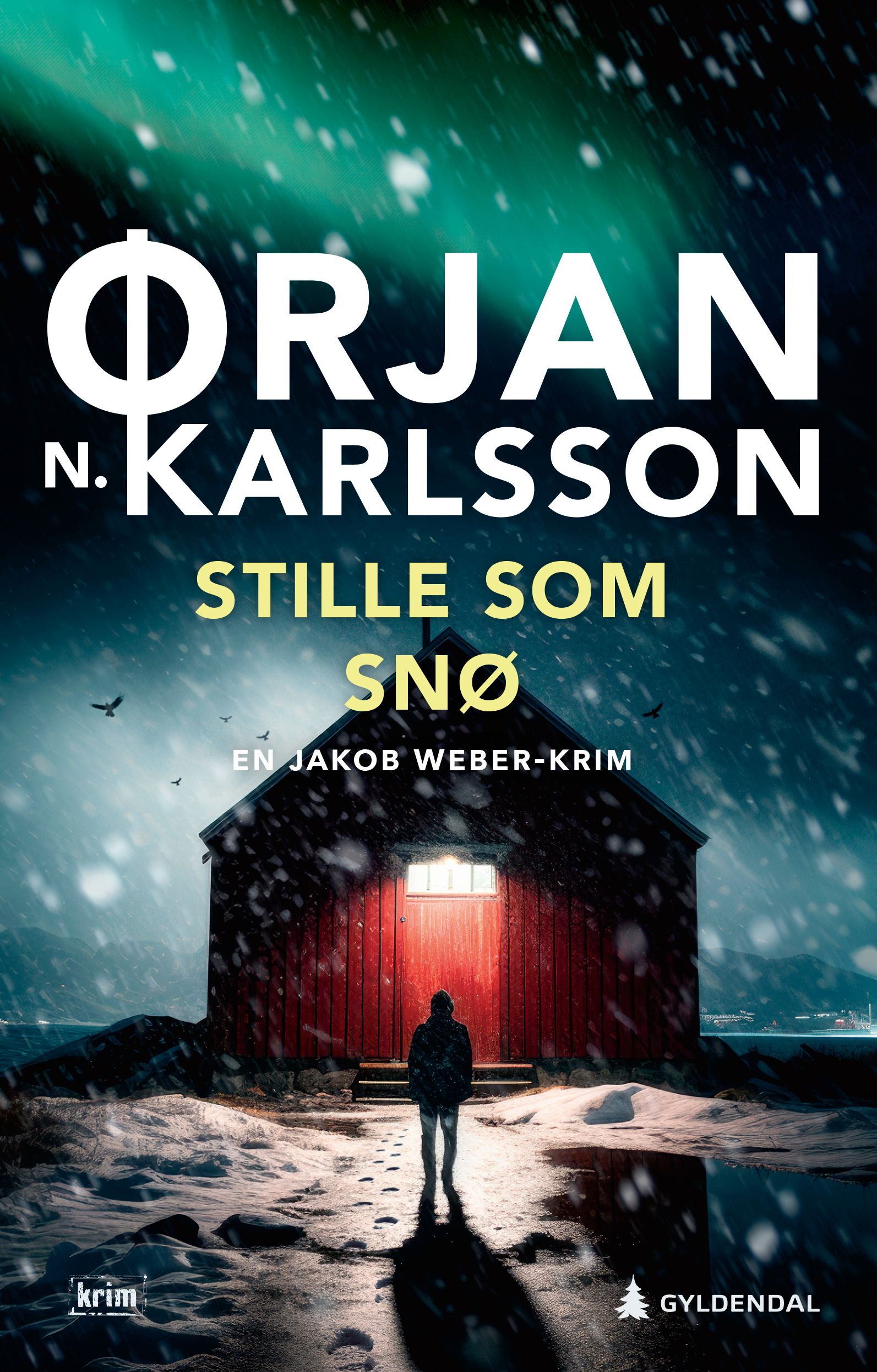 Stille som snø - kriminalroman