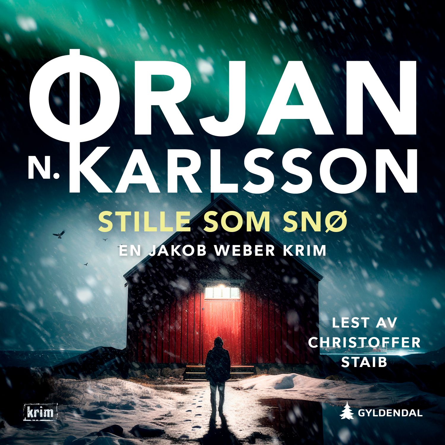 Stille som snø - kriminalroman
