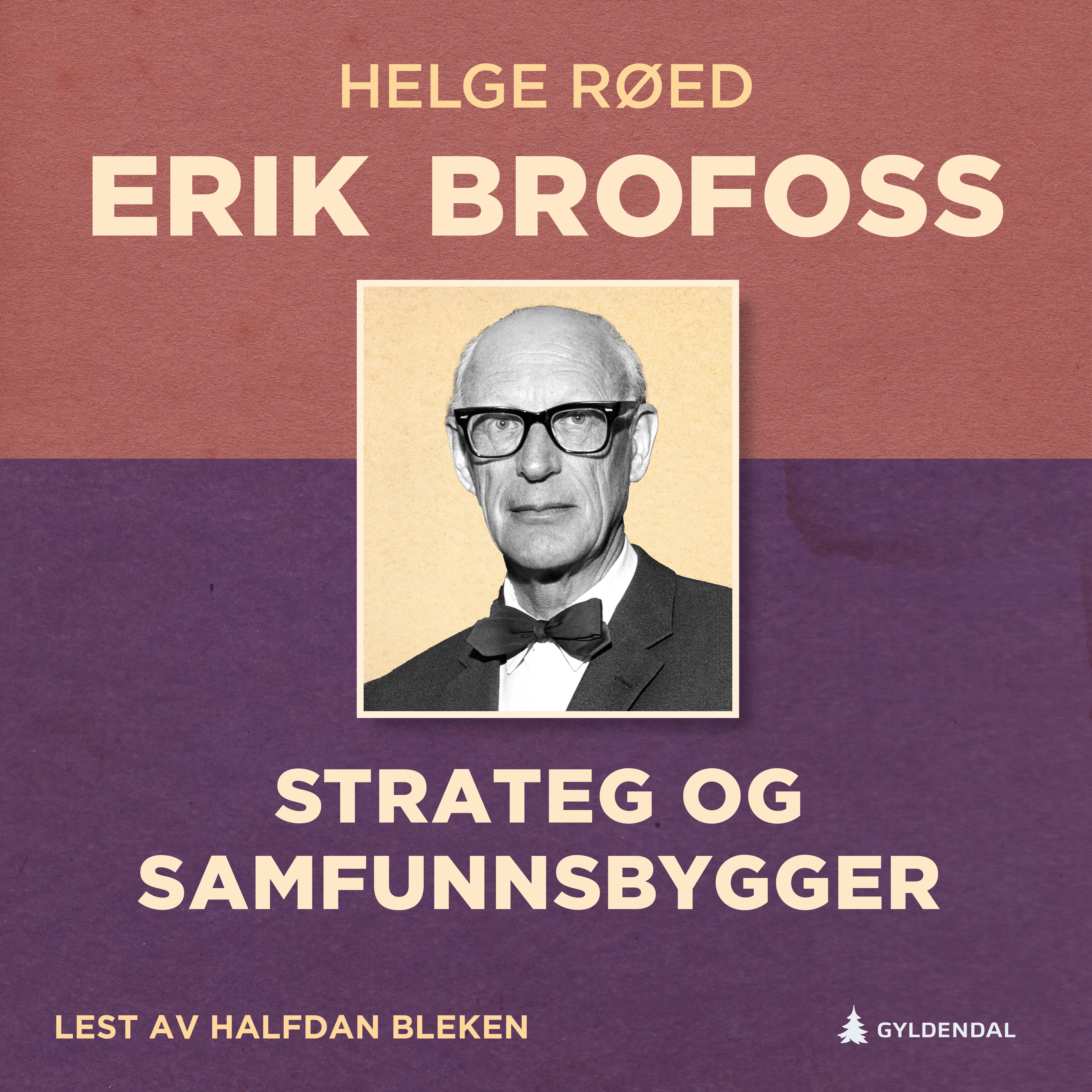 Erik Brofoss - strateg og samfunnsbygger