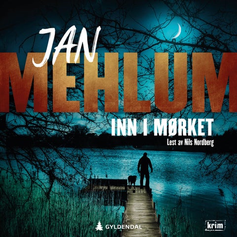 Inn i mørket - kriminalroman