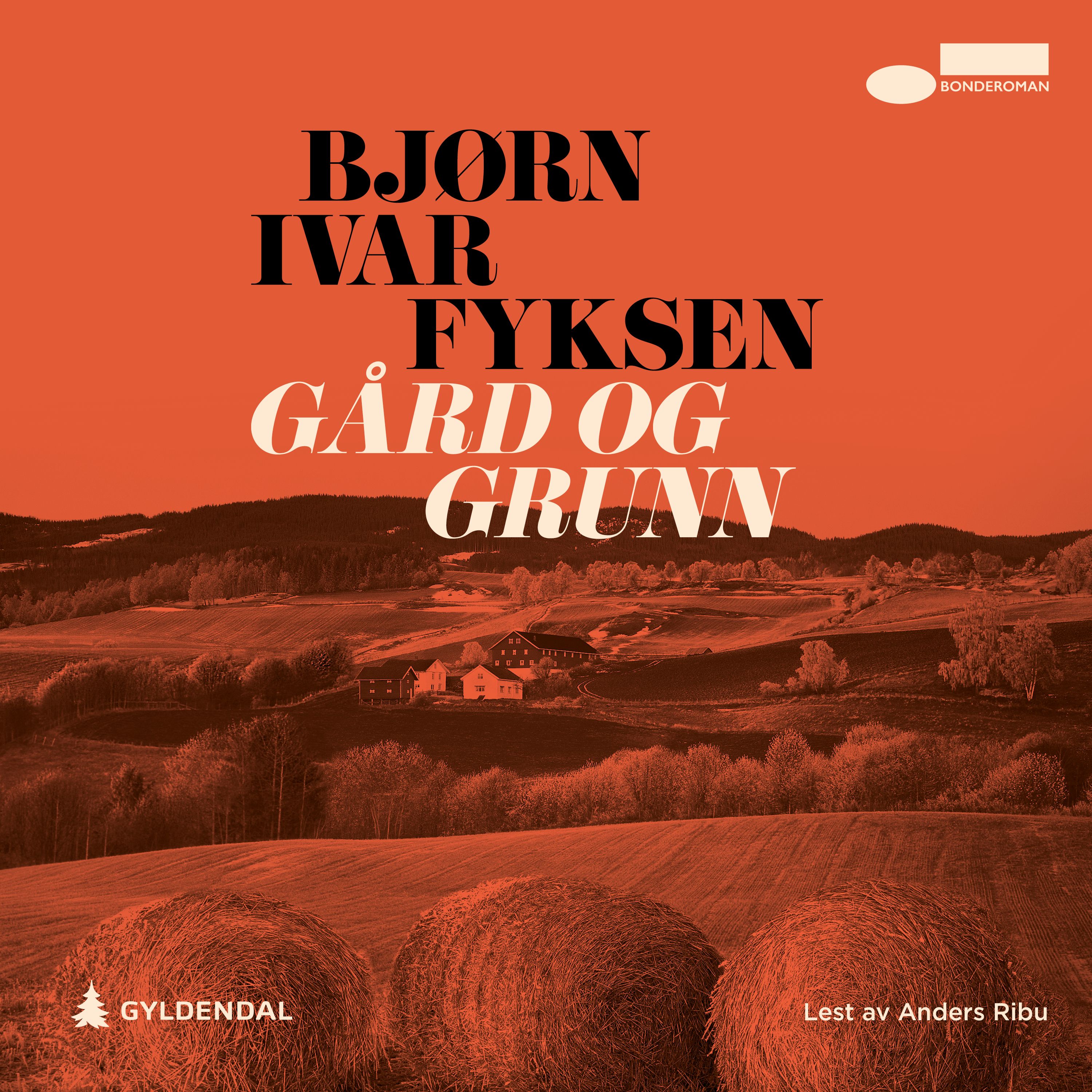 Gård og grunn - en bonderoman