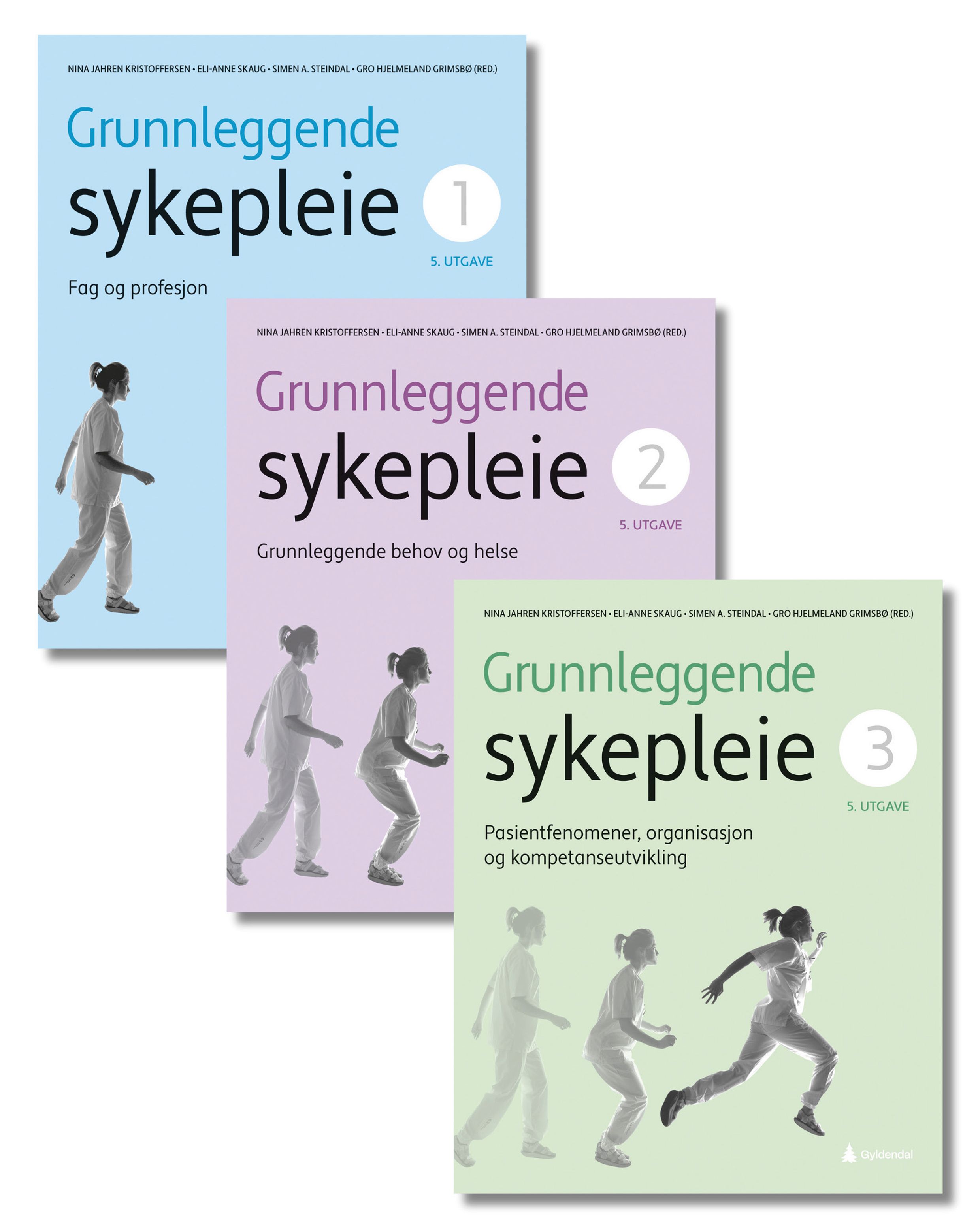 Grunnleggende sykepleie 1-3