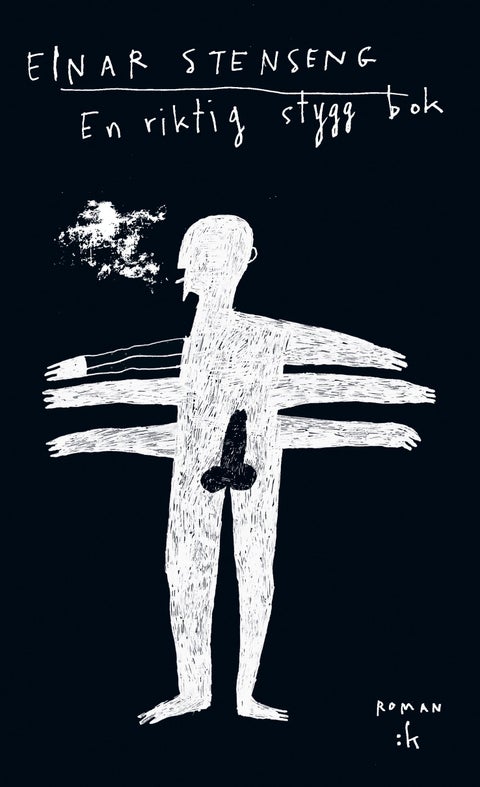 En riktig stygg bok - roman
