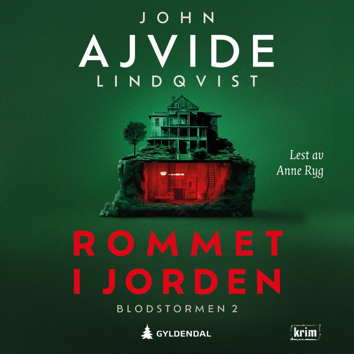 Rommet i jorden