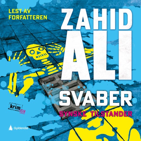 Synske tilstander - en krimaktig roman