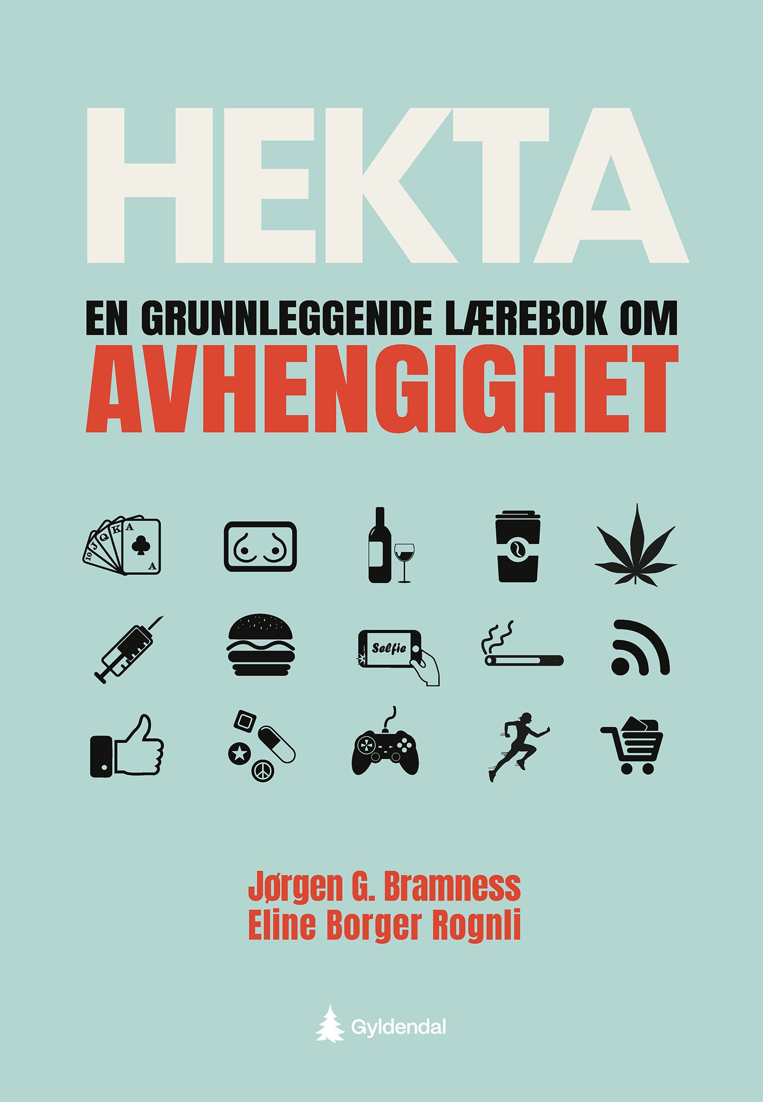 Hekta - en grunnleggende lærebok om avhengighet