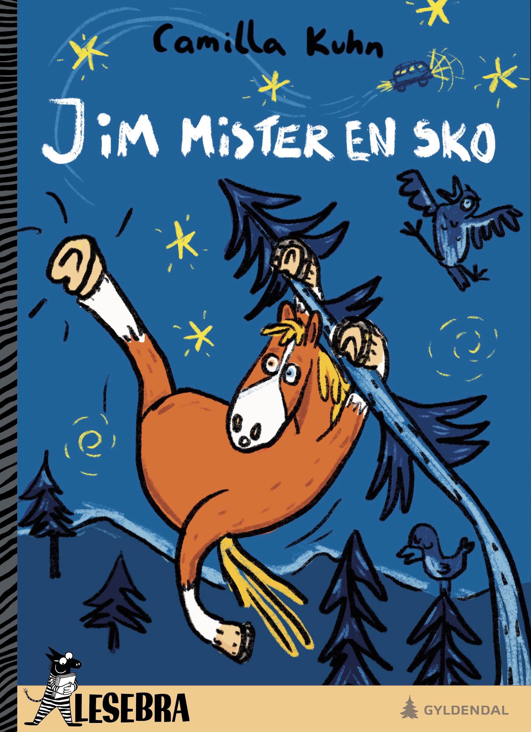 Jim mister en sko
