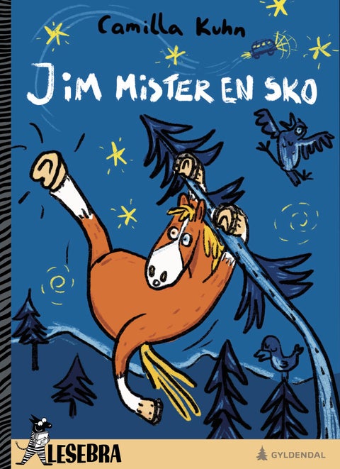 Jim mister en sko