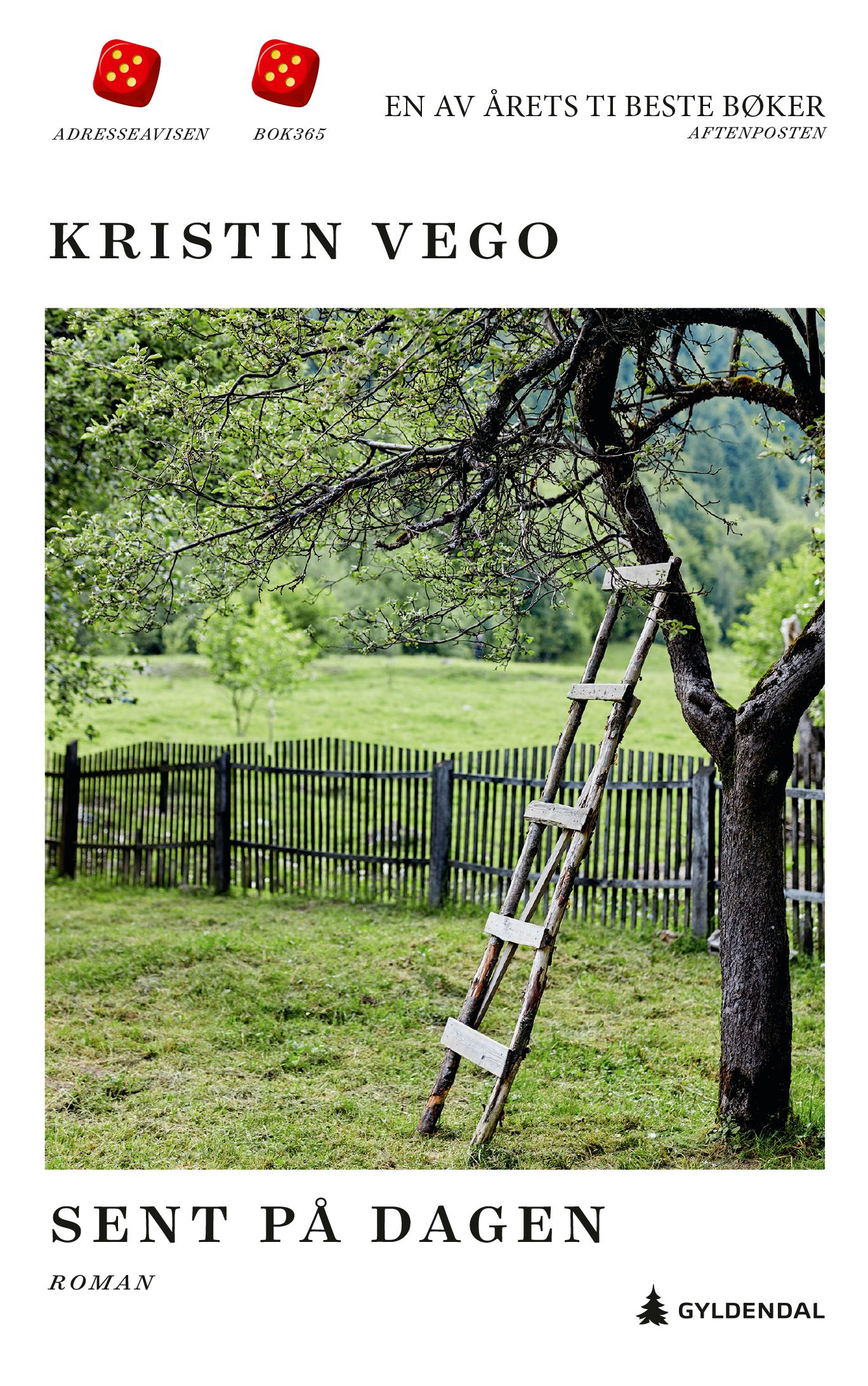 Sent på dagen - roman