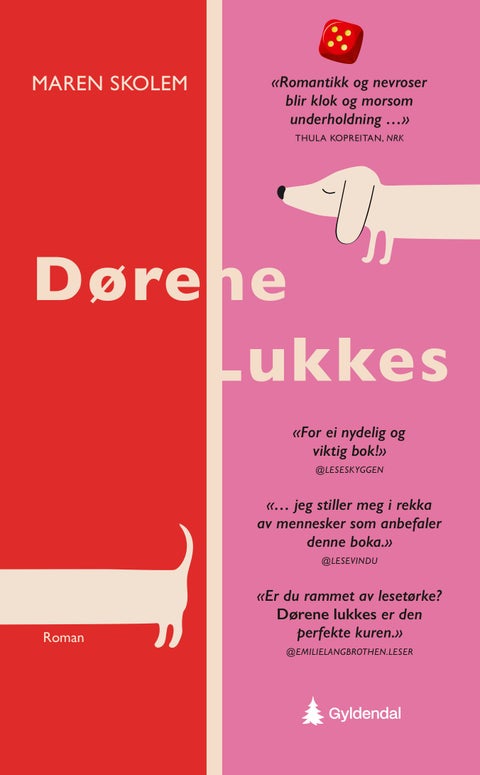 Dørene lukkes - en liten bok om sjekking