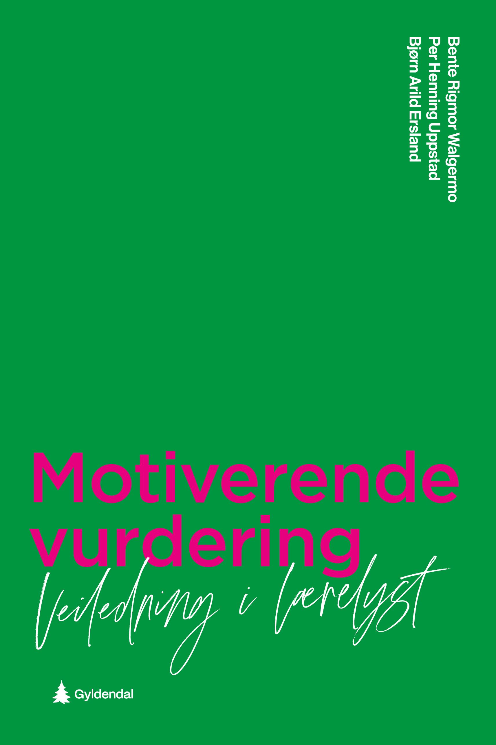 Motiverende vurdering - veiledning i lærelyst