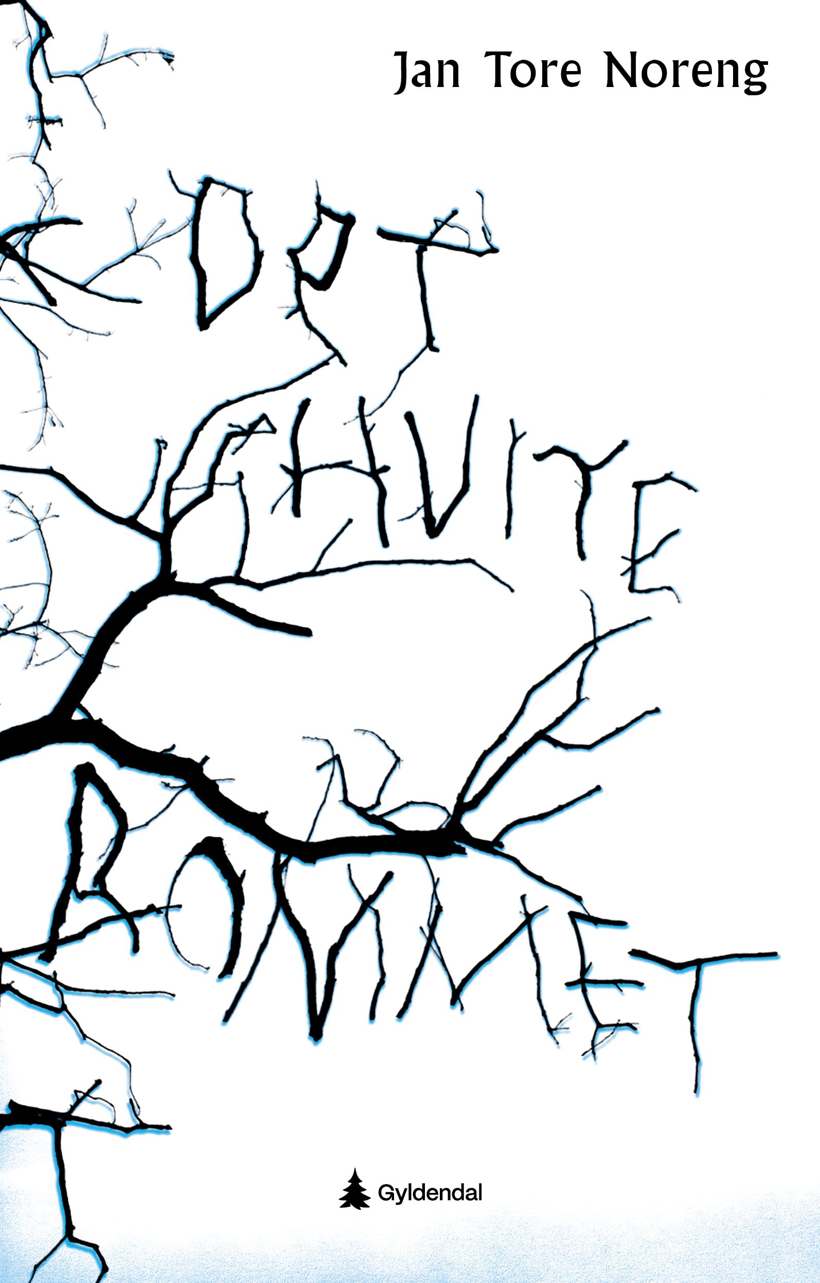 Det hvite rommet - ungdomsroman