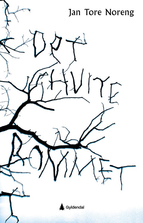 Det hvite rommet - ungdomsroman