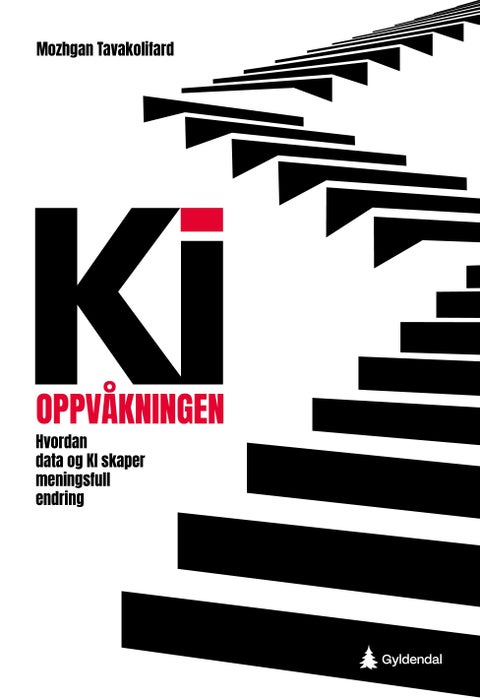 KI-oppvåkningen - hvordan data og KI skaper meningsfull endring