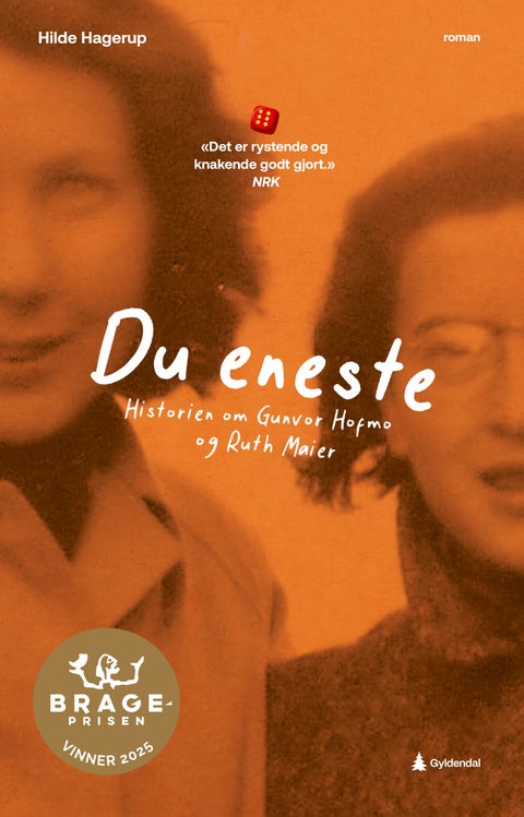 Du eneste - historien om Gunvor Hofmo og Ruth Maier : roman for ungdom