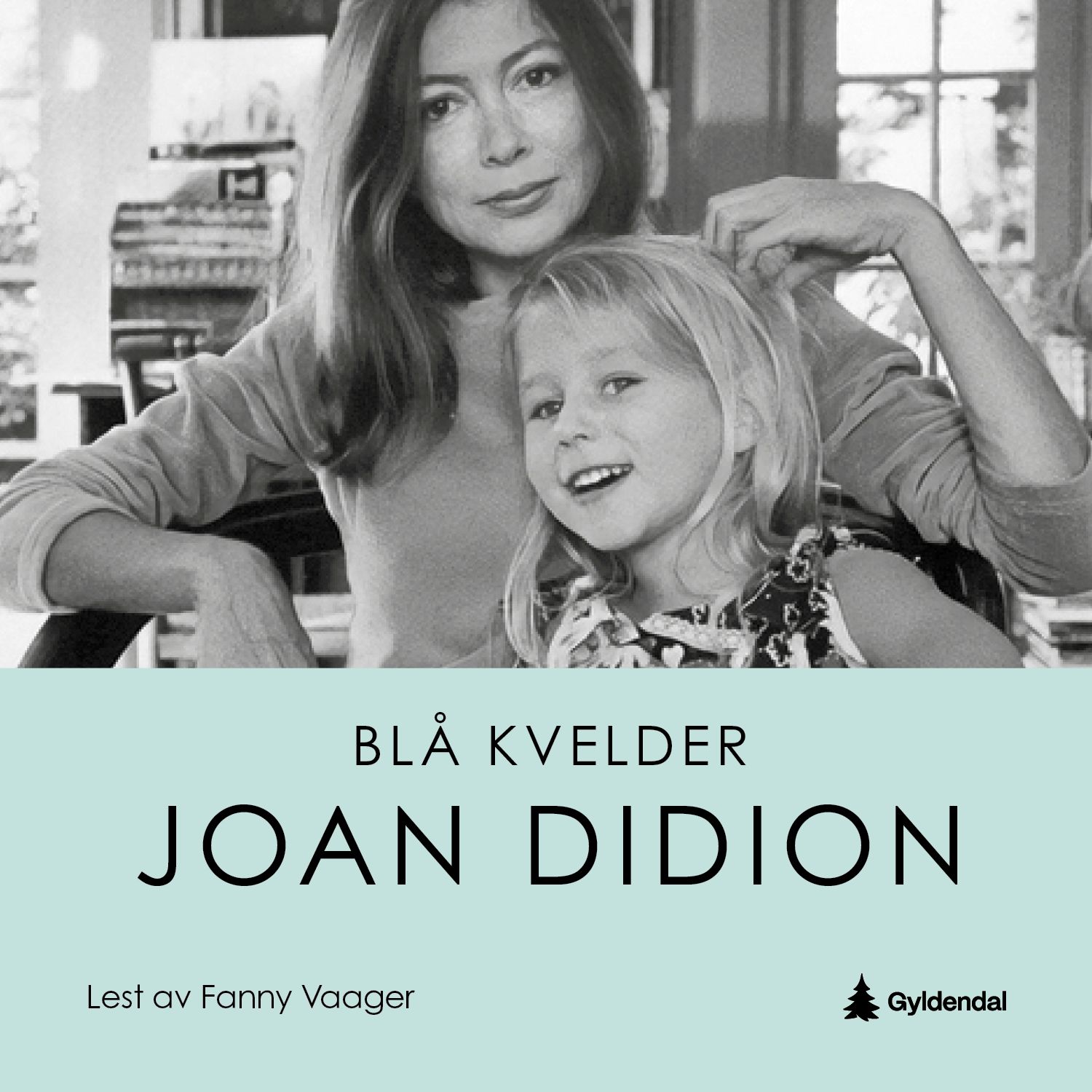Blå kvelder - memoarer