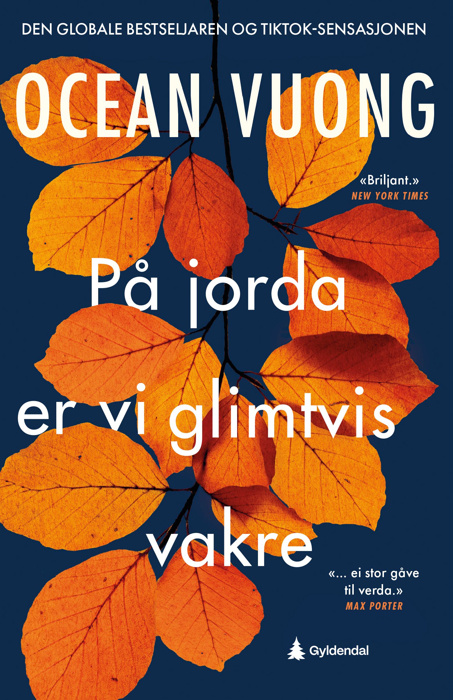 På jorda er vi glimtvis vakre - roman