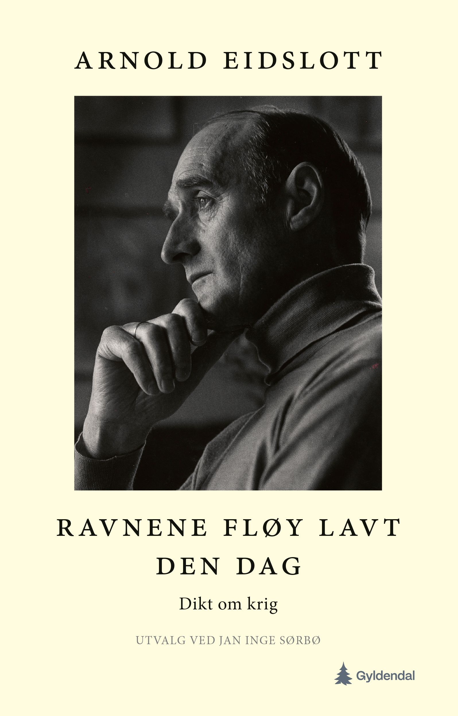 Ravnene fløy lavt den dag - dikt om krig