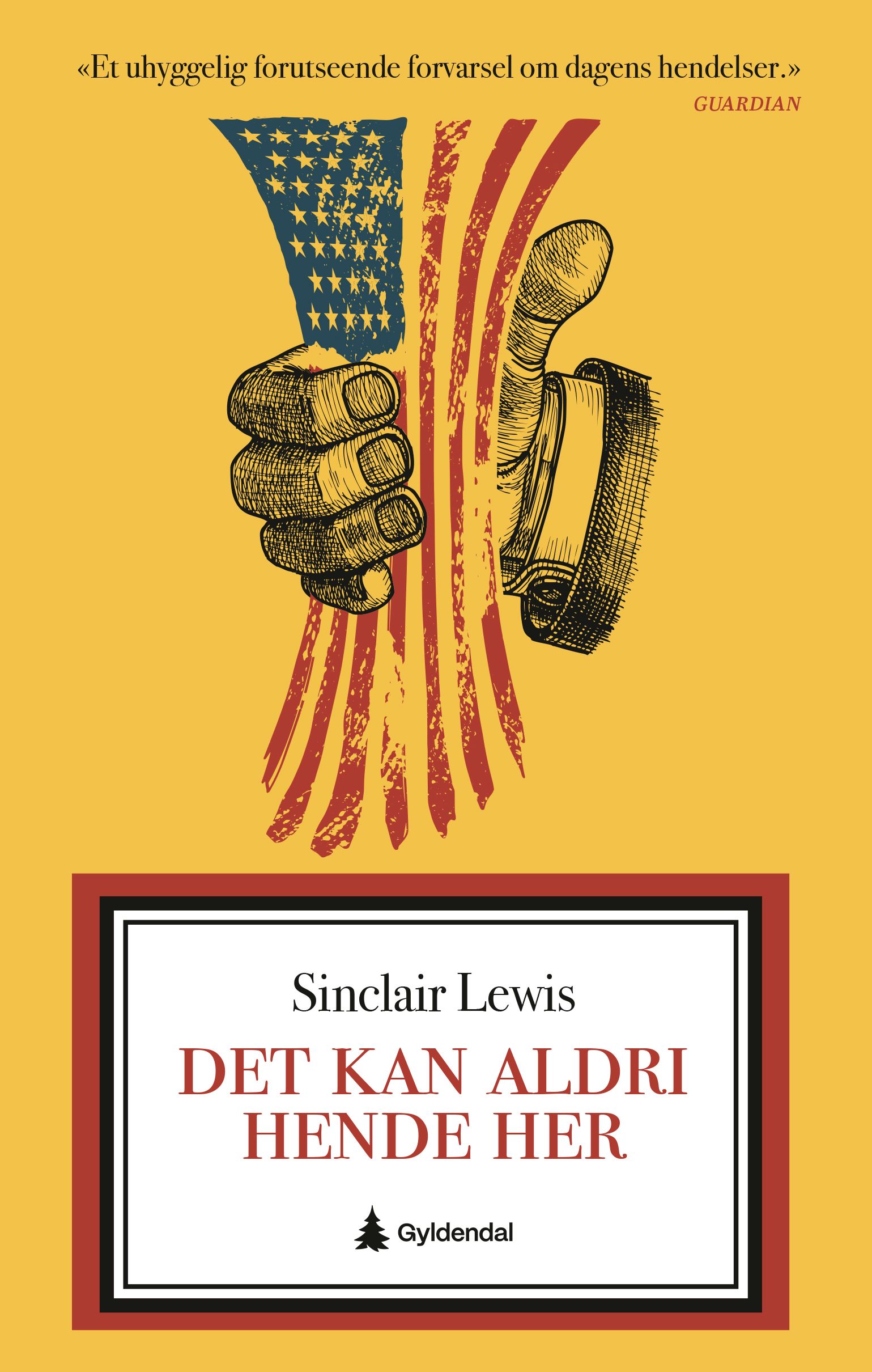 Det kan aldri hende her - roman