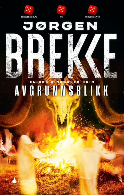 Avgrunnsblikk - kriminalroman